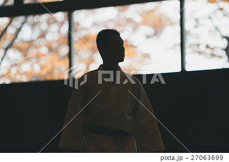 martial artist martial artist 27063699