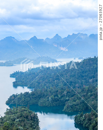 Hornbill nets in hollow tree Hornbill nets in hollow tree 27063927
