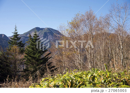 高山市の輝山をバックに紅葉 高山市の輝山をバックに紅葉 27065003
