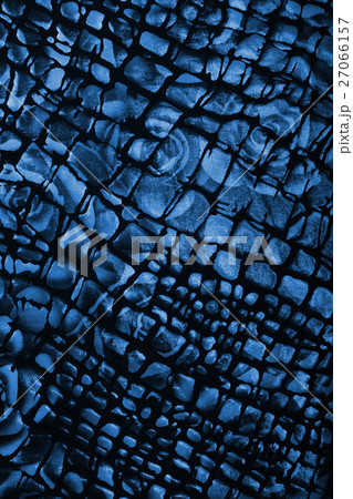 Black and blue fabric with flower pattern Black and blue fabric with flower pattern 27066157