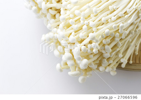 えのき11 えのき11 27066596