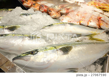 新鮮な魚 27067590