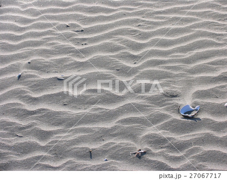 砂浜の風紋と貝殻 27067717