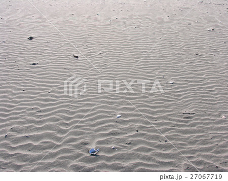 砂浜の風紋と貝殻 砂浜の風紋と貝殻 27067719