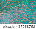 Many fish in the water 27068768