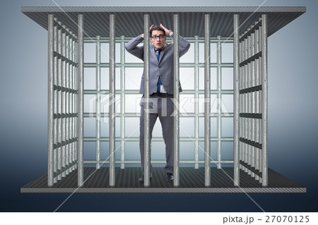 Businessman in the cage business concept Businessman in the cage business concept 27070125