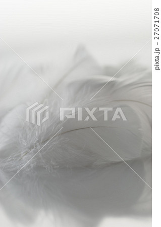 羽根 27071708