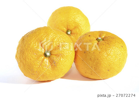 ユズ（柚子） 27072274