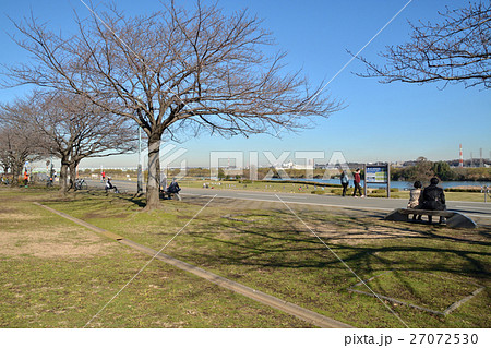 柴又散歩：柴又公園　江戸川スーパー堤防 27072530