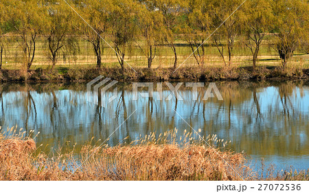 柴又散歩：江戸川河岸 27072536