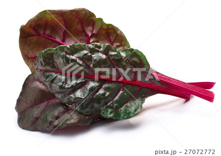 Chard (silverbeet, mangold) leaves, paths 27072772