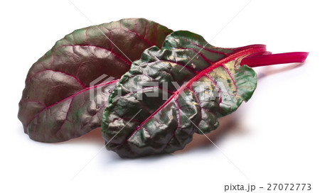 Chard (silverbeet, mangold) leaves, paths 27072773