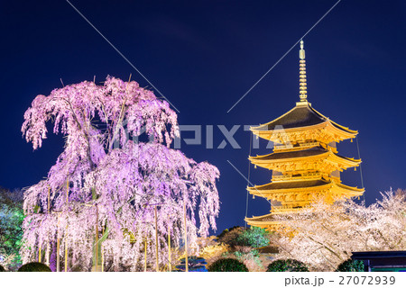 Kyoto in Spring 27072939