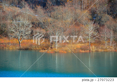 宝仙湖の紅葉 27073223