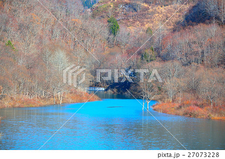 宝仙湖の紅葉 27073228