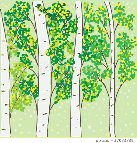 Autumn birch grove 27073739