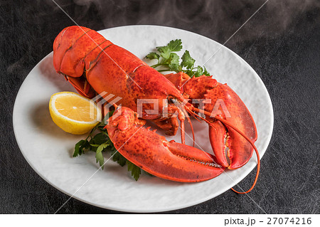 高級ロブスター High-quality lobster 高級ロブスター High-quality lobster 27074216