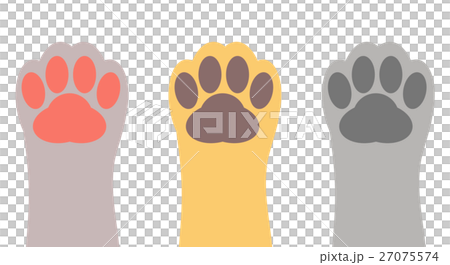 猫の手 27075574