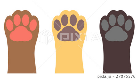 ペットの犬や猫の手 ペットの犬や猫の手 27075576