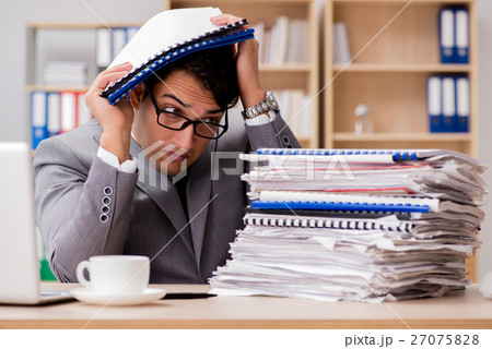 Handsome businessman working in the office Handsome businessman working in the office 27075828