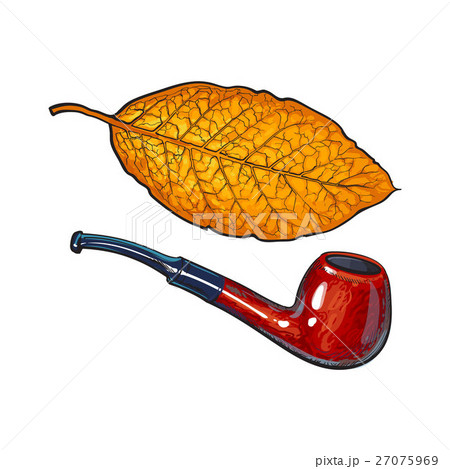 Luxurious wooden tobacco smoking pipe, sketch Luxurious wooden tobacco smoking pipe, sketch 27075969