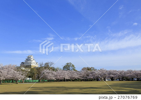 春・満開の桜と姫路城 春・満開の桜と姫路城 27076769