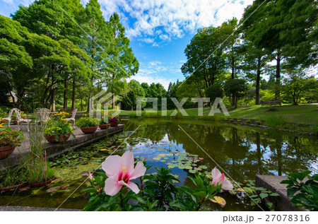 服部緑地植物園 服部緑地植物園 27078316