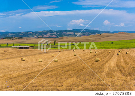オルチャ渓谷の夏の風景 27078808