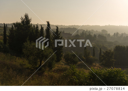 オルチャ渓谷の朝もや 27078814