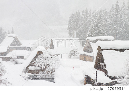 富山_南砺五箇山雪景色 富山_南砺五箇山雪景色 27079514