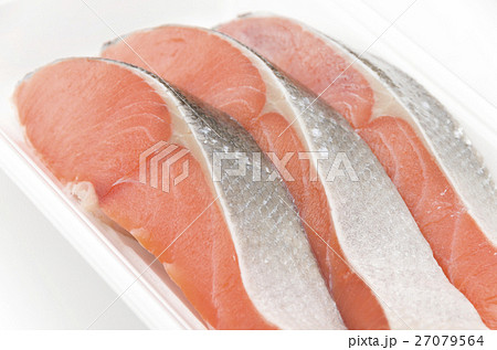 銀鮭 27079564