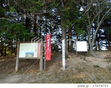 井伊谷城 27079755