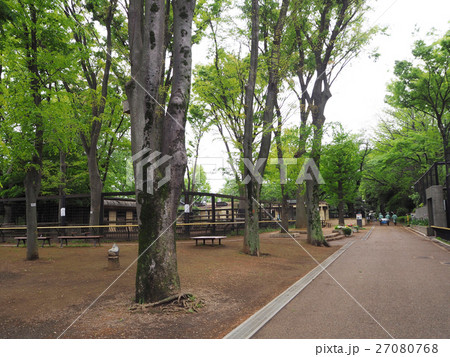 夢見ヶ崎動物公園　園内遊歩道 27080768
