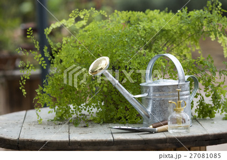 ガーデニング用品 27081085