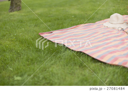 芝生とレジャーシート 芝生とレジャーシート 27081484