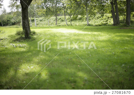 公園 公園 27081670