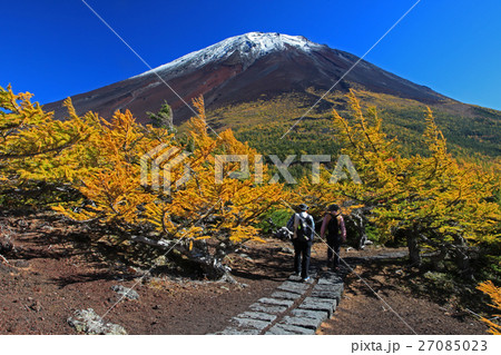 富士山と初冠雪 富士山と初冠雪 27085023