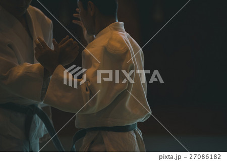 martial artist martial artist 27086182