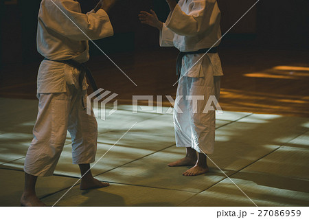 martial artist martial artist 27086959