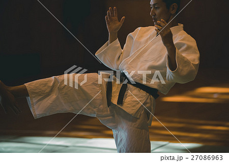 martial artist 27086963