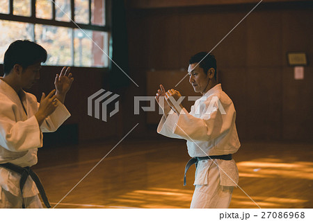 martial artist 27086968