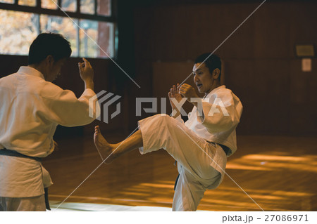 martial artist 27086971