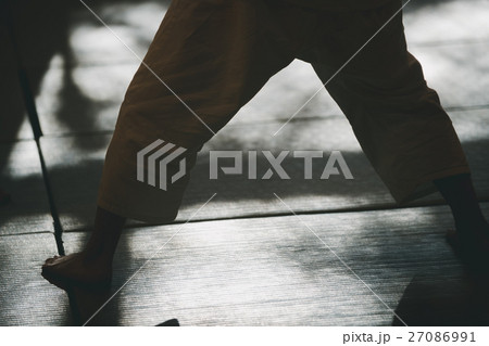 martial artist martial artist 27086991