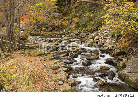 奥利根の沢の流れと紅葉 奥利根の沢の流れと紅葉 27089812