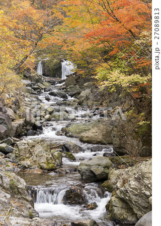 奥利根の沢の流れと紅葉 27089813