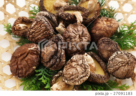 椎茸 27091183