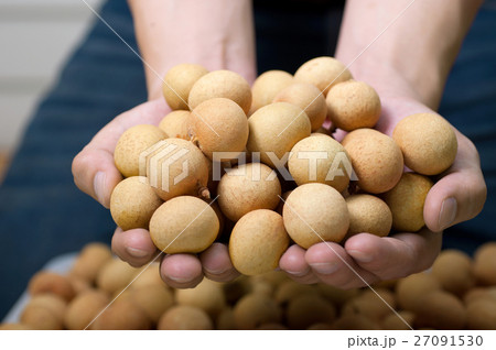 hand holding fresh longan 27091530