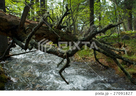 River amongst stone in valley mountains 27091827