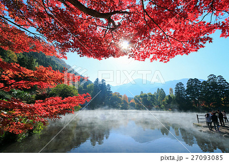 秋の由布院　湯気たちこめる朝の金鱗湖と紅葉 27093085