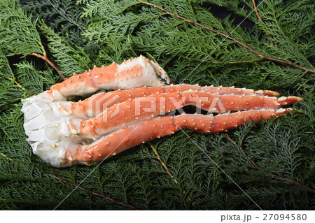 タラバ蟹　脚 27094580